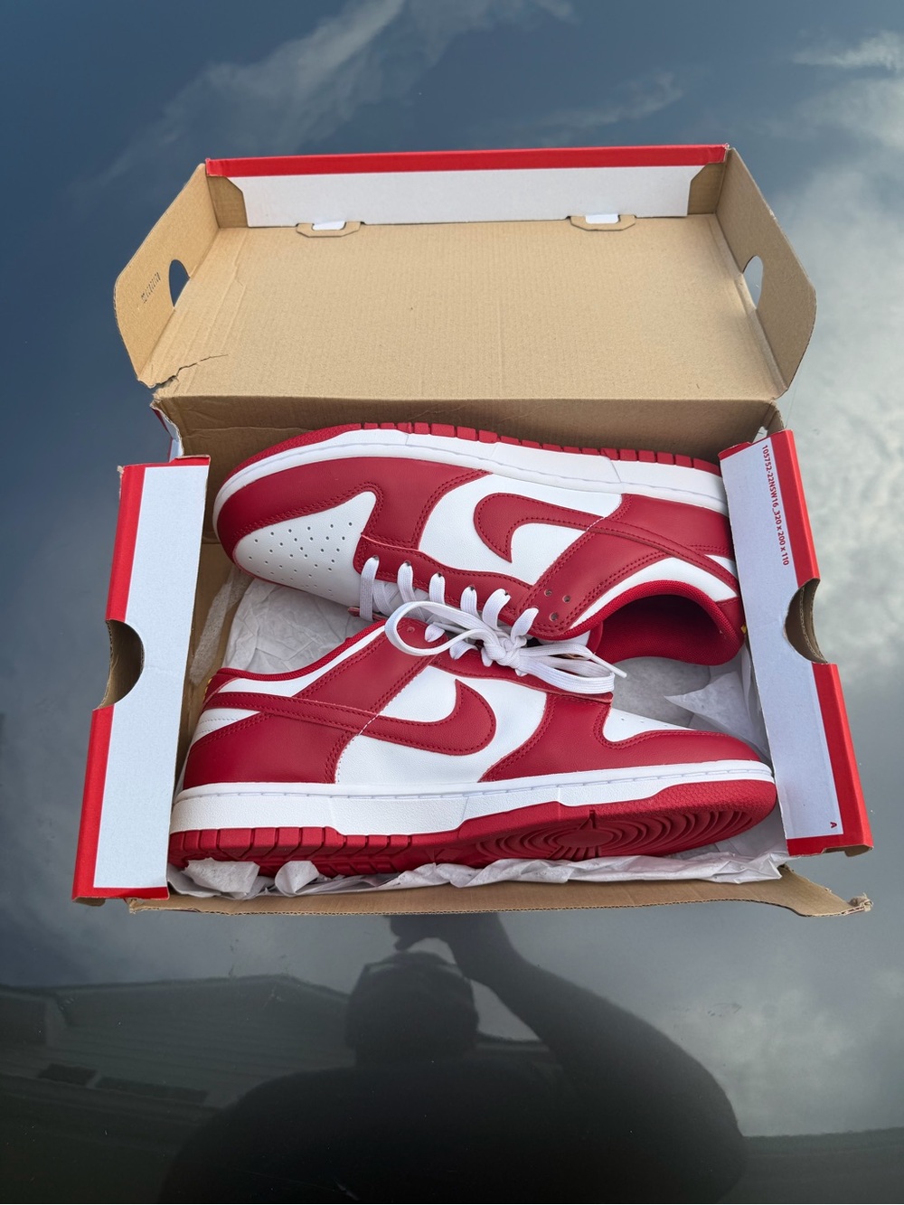 Mens Nike Dunk Low Retro 'USC'